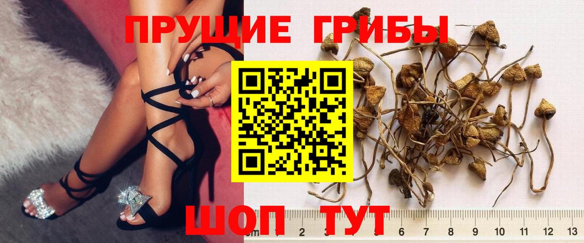 Псилоцибиновые грибы MAGIC MUSHROOMS Верхний Уфалей
